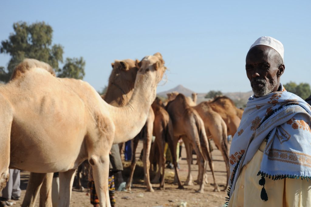 A man and his camels in Somalia